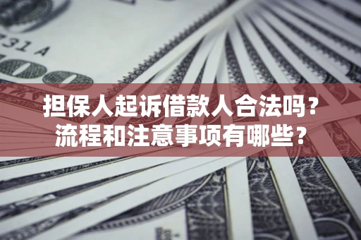 北京担保人起诉借款人合法吗？流程和注意事项有哪些？