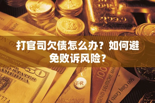 北京打官司欠债怎么办？如何避免败诉风险？