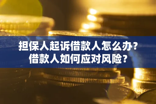 北京担保人起诉借款人怎么办？借款人如何应对风险？