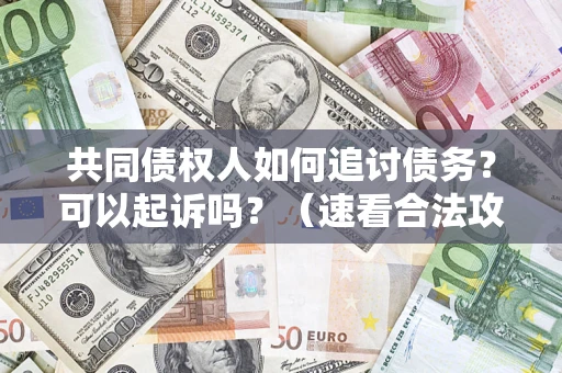 北京共同债权人如何追讨债务？可以起诉吗？（速看合法攻略）