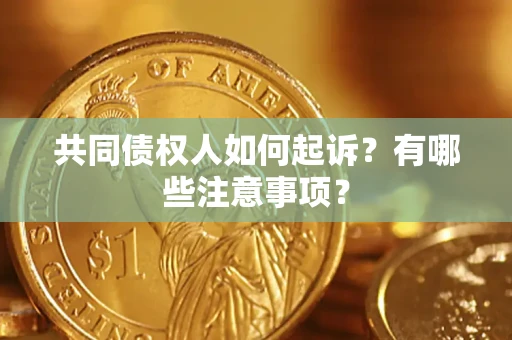 北京共同债权人如何起诉？有哪些注意事项？